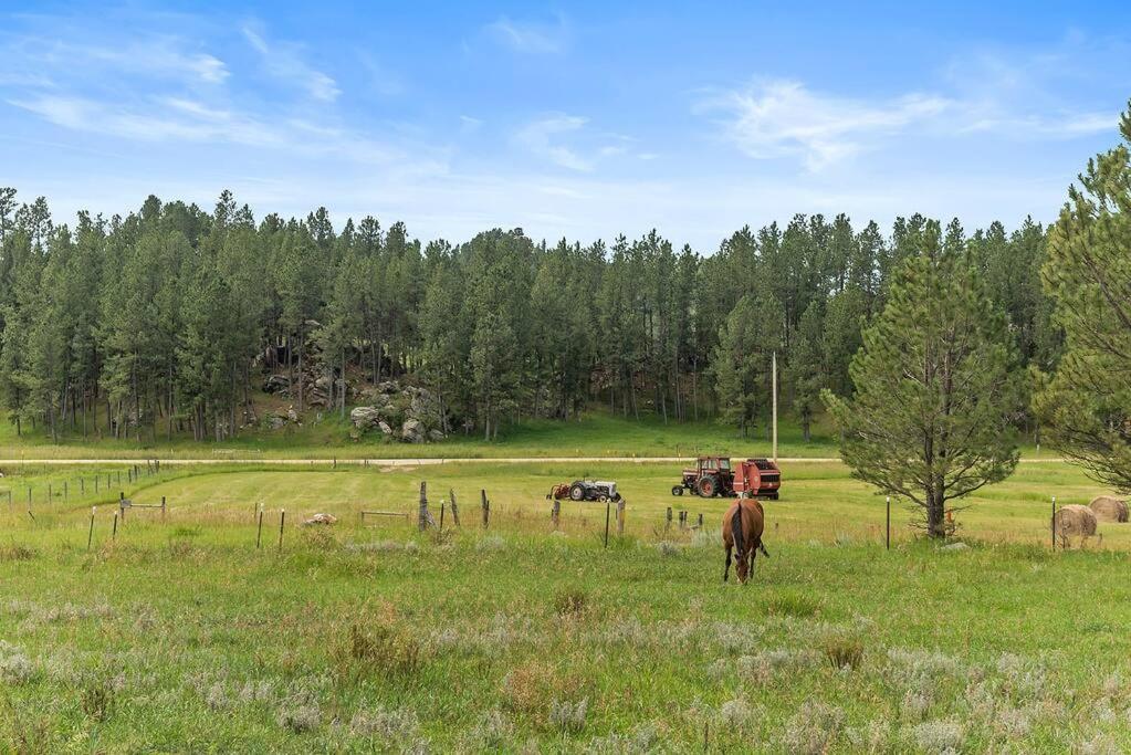 Papa'S Place On Willow Creek Custer Eksteriør bilde